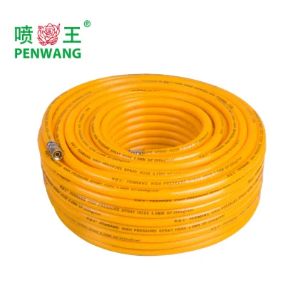 Tubo flessibile di spruzzatura in PVC ad alta pressione per spruzzatore (PW1007)
